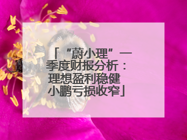 “蔚小理”一季度财报分析：理想盈利稳健 小鹏亏损收窄
