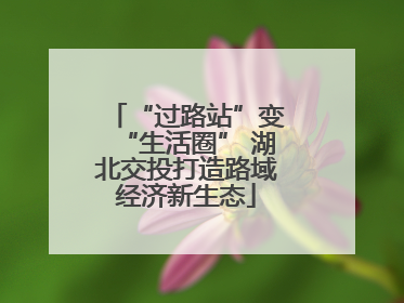 “过路站”变“生活圈” 湖北交投打造路域经济新生态