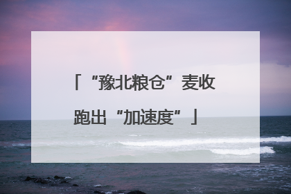 “豫北粮仓”麦收跑出“加速度”