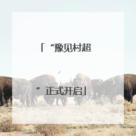 “豫见村超”正式开启