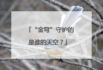 “金穹”守护的是谁的天空？