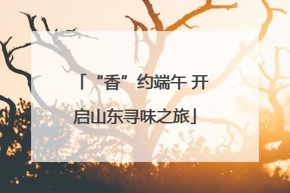 “香”约端午 开启山东寻味之旅