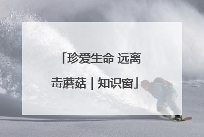 珍爱生命 远离毒蘑菇｜知识窗