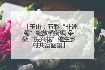 玉山：五彩“非洲菊”绽放横街镇 朵朵“振兴花”催生乡村共富图景