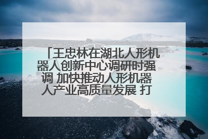 王忠林在湖北人形机器人创新中心调研时强调 加快推动人形机器人产业高质量发展 打造具有全国影响力的研发创新基地