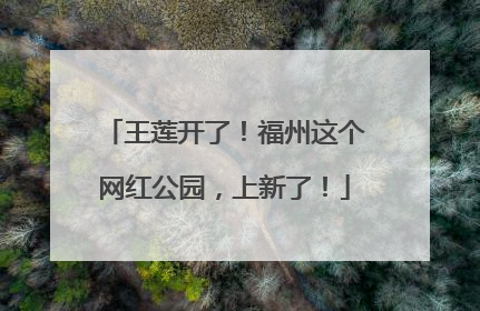 王莲开了！福州这个网红公园，上新了！