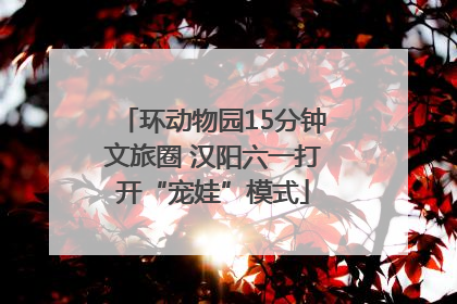 环动物园15分钟文旅圈 汉阳六一打开“宠娃”模式