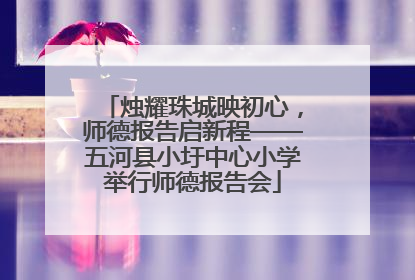 烛耀珠城映初心，师德报告启新程——五河县小圩中心小学举行师德报告会