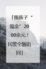 熊孩子“氪金”2000余元！民警全额追回