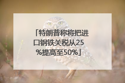 特朗普称将把进口钢铁关税从25%提高至50%