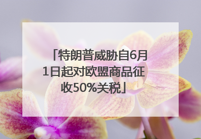 特朗普威胁自6月1日起对欧盟商品征收50%关税