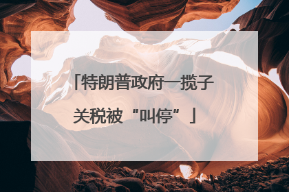 特朗普政府一揽子关税被“叫停”