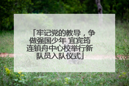 牢记党的教导，争做强国少年 宜宾筠连镇舟中心校举行新队员入队仪式