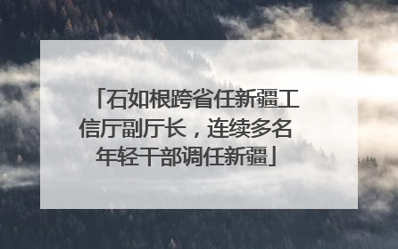 石如根跨省任新疆工信厅副厅长，连续多名年轻干部调任新疆