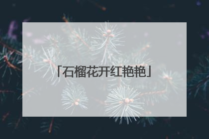 石榴花开红艳艳