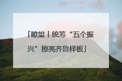 瞭望丨统筹“五个振兴”擦亮齐鲁样板