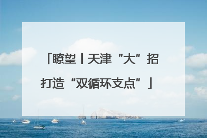 瞭望丨天津“大”招打造“双循环支点”