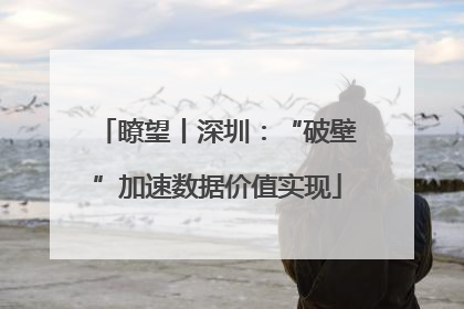 瞭望丨深圳：“破壁”加速数据价值实现