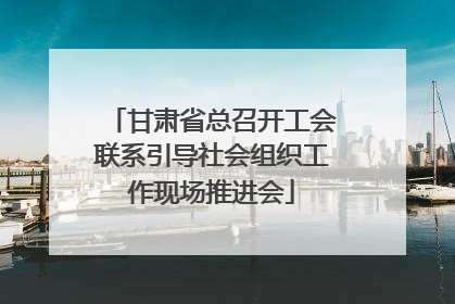 甘肃省总召开工会联系引导社会组织工作现场推进会