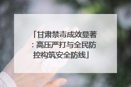 甘肃禁毒成效显著：高压严打与全民防控构筑安全防线