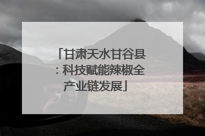 甘肃天水甘谷县：科技赋能辣椒全产业链发展