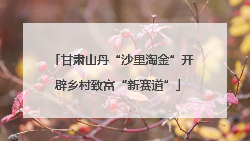 甘肃山丹“沙里淘金”开辟乡村致富“新赛道”