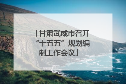 甘肃武威市召开“十五五”规划编制工作会议