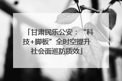 甘肃民乐公安：“科技+脚板”全时空提升社会面巡防质效