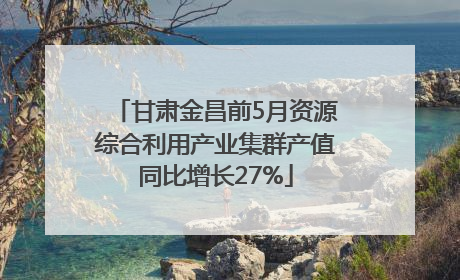 甘肃金昌前5月资源综合利用产业集群产值同比增长27%