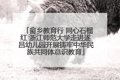 畲乡教育行 同心石榴红 浙江师范大学走进遂昌幼儿园开展铸牢中华民族共同体意识教育