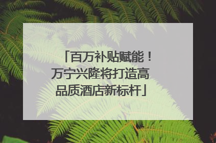 百万补贴赋能！万宁兴隆将打造高品质酒店新标杆
