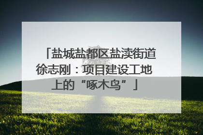 盐城盐都区盐渎街道徐志刚：项目建设工地上的“啄木鸟”