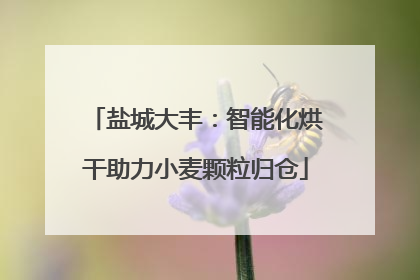 盐城大丰：智能化烘干助力小麦颗粒归仓