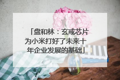盘和林：玄戒芯片为小米打好了未来十年企业发展的基础