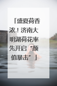盛夏荷香浓！济南大明湖荷花率先开启“颜值暴击”