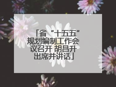省“十五五”规划编制工作会议召开 胡昌升出席并讲话