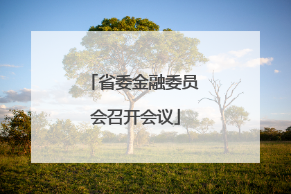 省委金融委员会召开会议