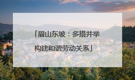 眉山东坡：多措并举构建和谐劳动关系