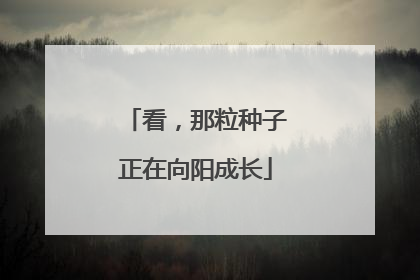 看，那粒种子正在向阳成长