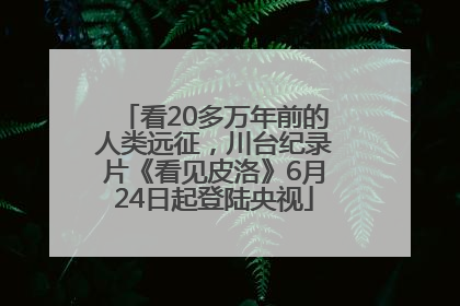 看20多万年前的人类远征，川台纪录片《看见皮洛》6月24日起登陆央视