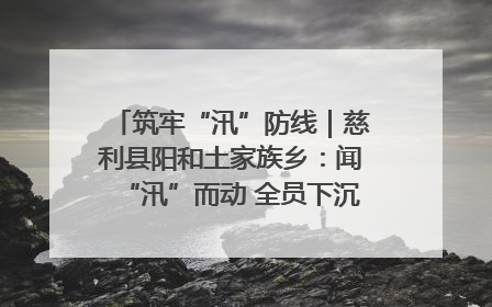 筑牢“汛”防线｜慈利县阳和土家族乡：闻“汛”而动 全员下沉筑牢防汛“安全堤”