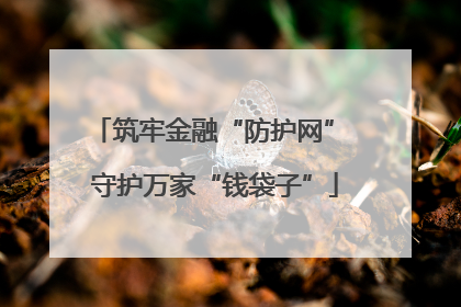 筑牢金融“防护网” 守护万家“钱袋子”