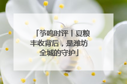 筝鸣时评丨夏粮丰收背后，是潍坊全城的守护