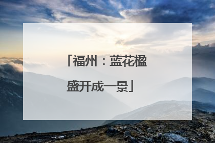福州：蓝花楹盛开成一景