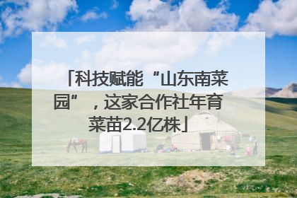 科技赋能“山东南菜园”，这家合作社年育菜苗2.2亿株