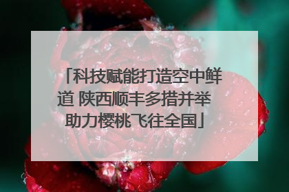 科技赋能打造空中鲜道 陕西顺丰多措并举助力樱桃飞往全国