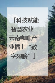 科技赋能智慧农业 云南咖啡产业插上“数字翅膀”