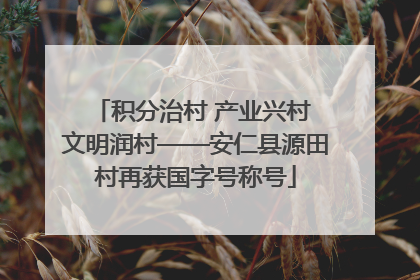积分治村 产业兴村 文明润村——安仁县源田村再获国字号称号