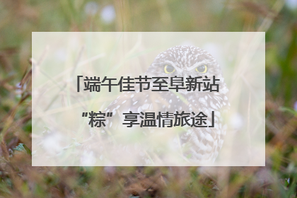 端午佳节至阜新站“粽”享温情旅途