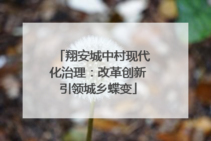 翔安城中村现代化治理：改革创新引领城乡蝶变